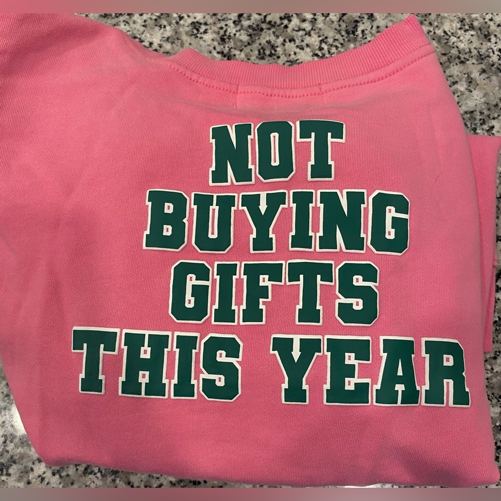 Wildfox Sweatshirt Women's Crew Neck Investing In Myself Aurora Pink XL - Picture 5 of 12